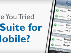 Have you tried NetSuite for Mobile?