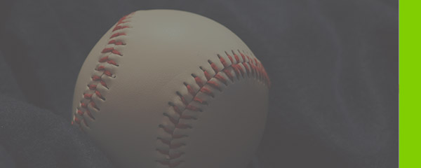 Hit a Home Run with NetSuite