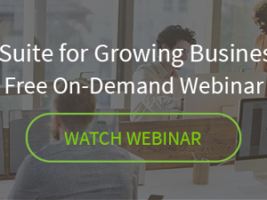 NetSuite for Growing Businesses